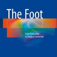 The Foot