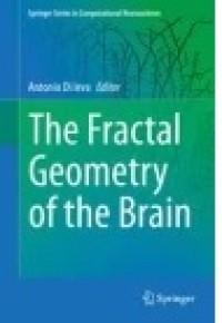 The Fractal Geometry of the Brain