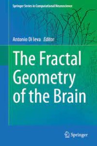 The Fractal Geometry of the Brain