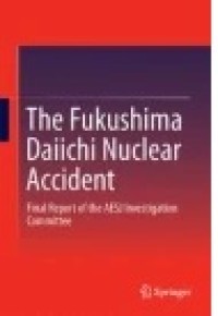 The Fukushima Daiichi Nuclear Accident