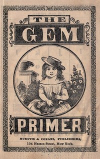 Image of The gem primer