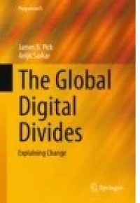 The Global Digital Divides