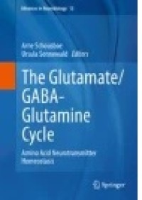 The Glutamate/GABA-Glutamine Cycl