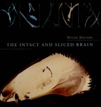 The intact and sliced brain