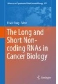 The Long and Short Non-coding RNAs in Cancer Biology