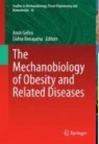 The Mechanobiology of Obesity and Related Diseases