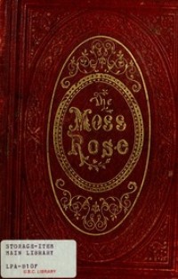 The moss rose