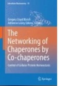 The Networking of Chaperones by Co-chaperones