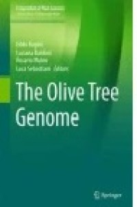 The Olive Tree Genome