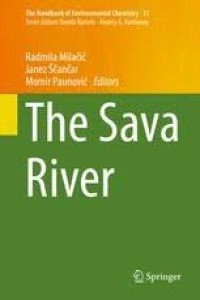 The Sava River