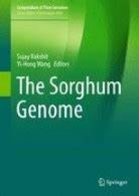 The Sorghum Genome