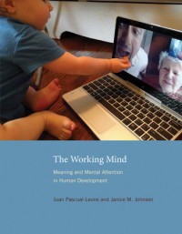 The working mind :meaning and mental attention in human development