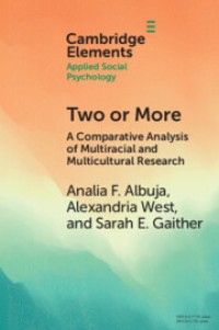 Two or More  A Comparative Analysis of Multiracial and Multicultural Research