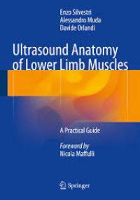 Ultrasound Anatomy of Lower Limb Muscles
A Practical Guide