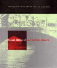 Visual Attention and Cortical Circuits