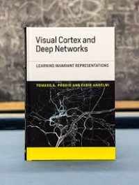 Visual Cortex and Deep Networks: Learning Invariant Representations