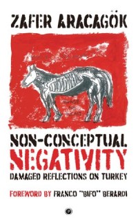 Non-Conceptual Negativity: Damaged Reflections On Turkey