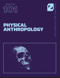 Physical Anthropolgy