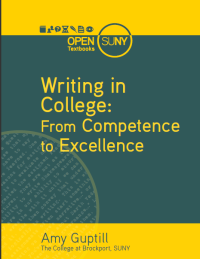 Writing in College:  from Competence to Excellence